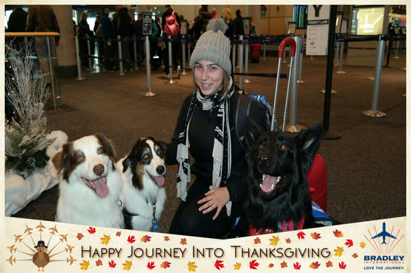 dogs in the photo booth