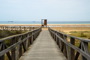 Essential Photo Composition Tips for Beginners Essential Photo Composition Tips for Beginners