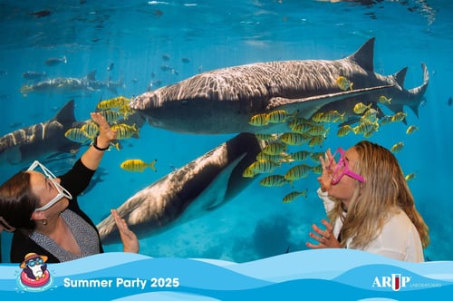 img_gs_185615254_08012025_185615254