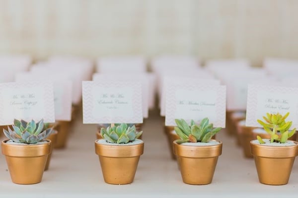 succulents wedding favors